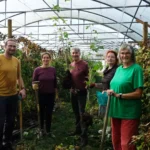Himbeeren für Hofheim | Essbare Stadt Hofheim