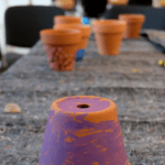 Tomaten für Hofheim am Taunus