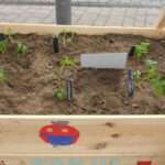 Projekt 1001 Tomate Hofheim | Aufbau der Hochbeete