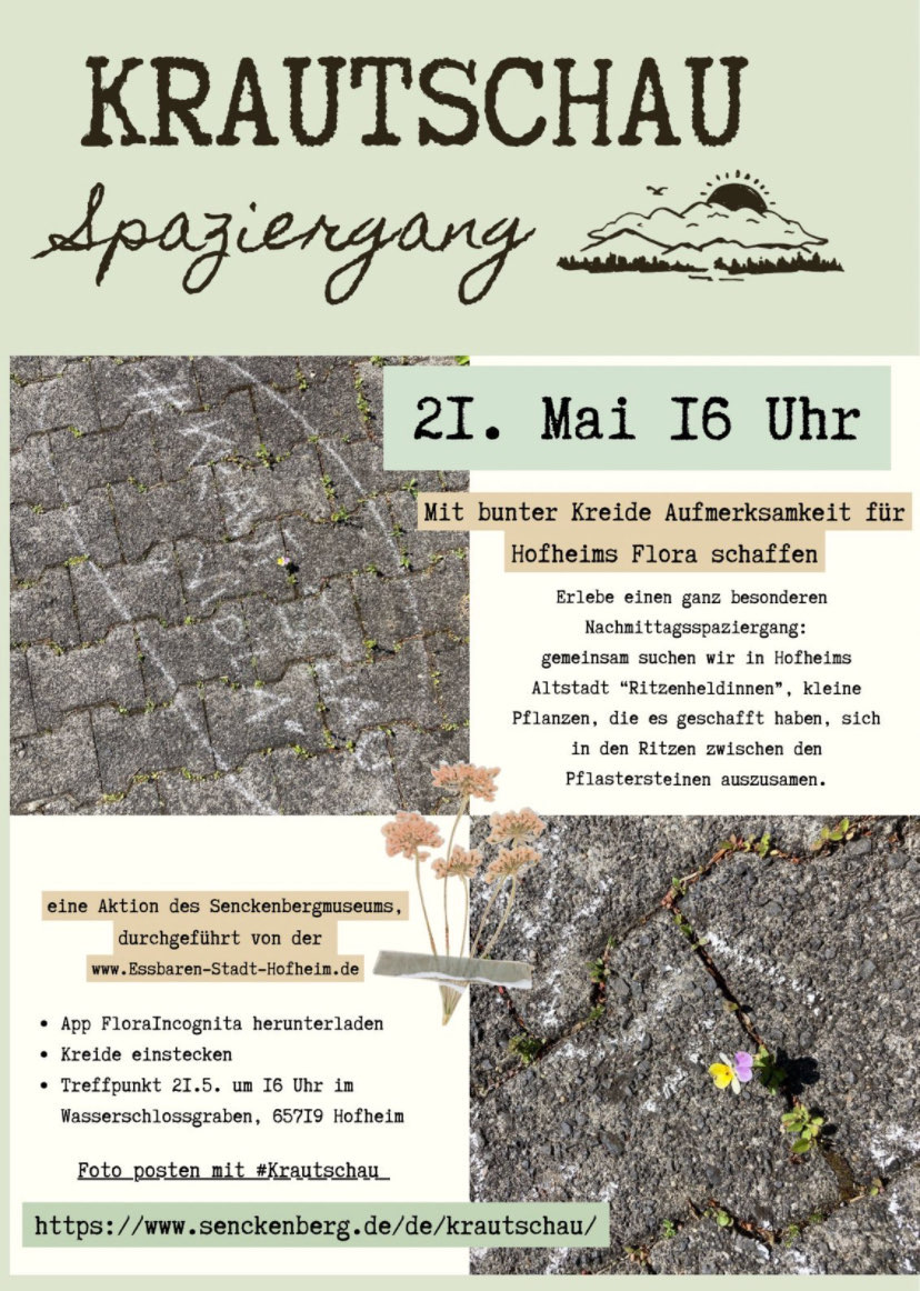 Hofheimer Krautschau