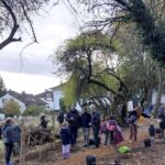 Hofheims erstes Klimawäldchen steht- Juchuhhh