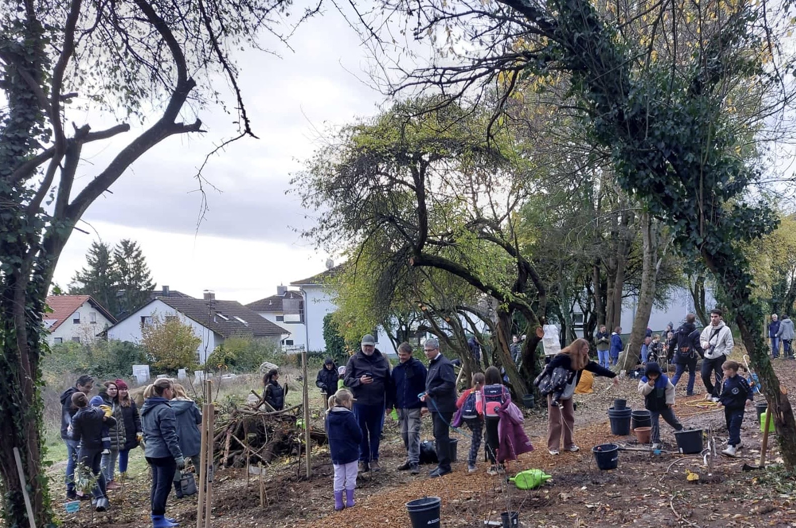 Hofheims erstes Klimawäldchen steht- Juchuhhh