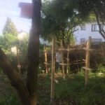 Himbeerspalier fürs Hofheimer Klimawäldchen am Steinberg