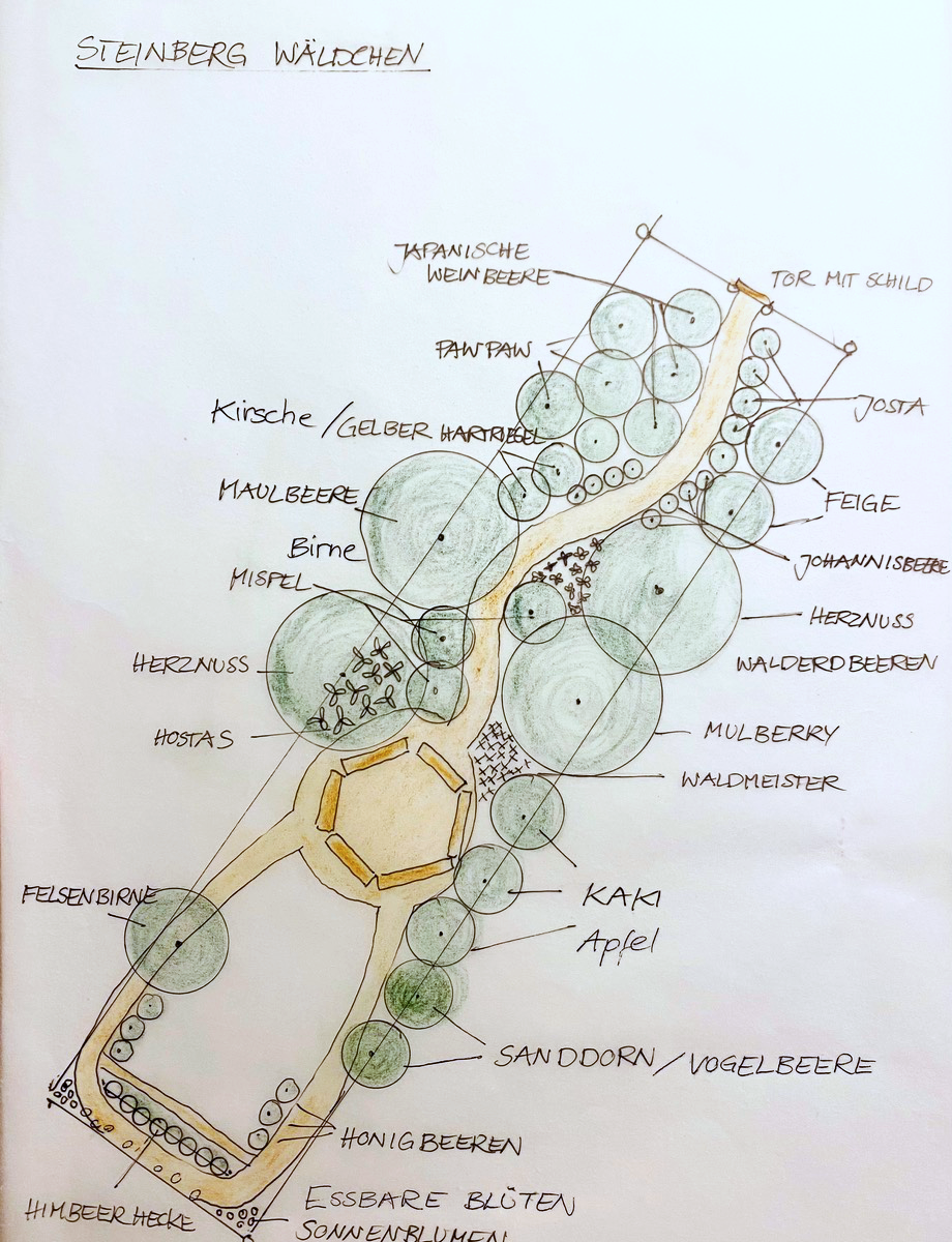 Hofheimer Klimawäldchen am Steinberg